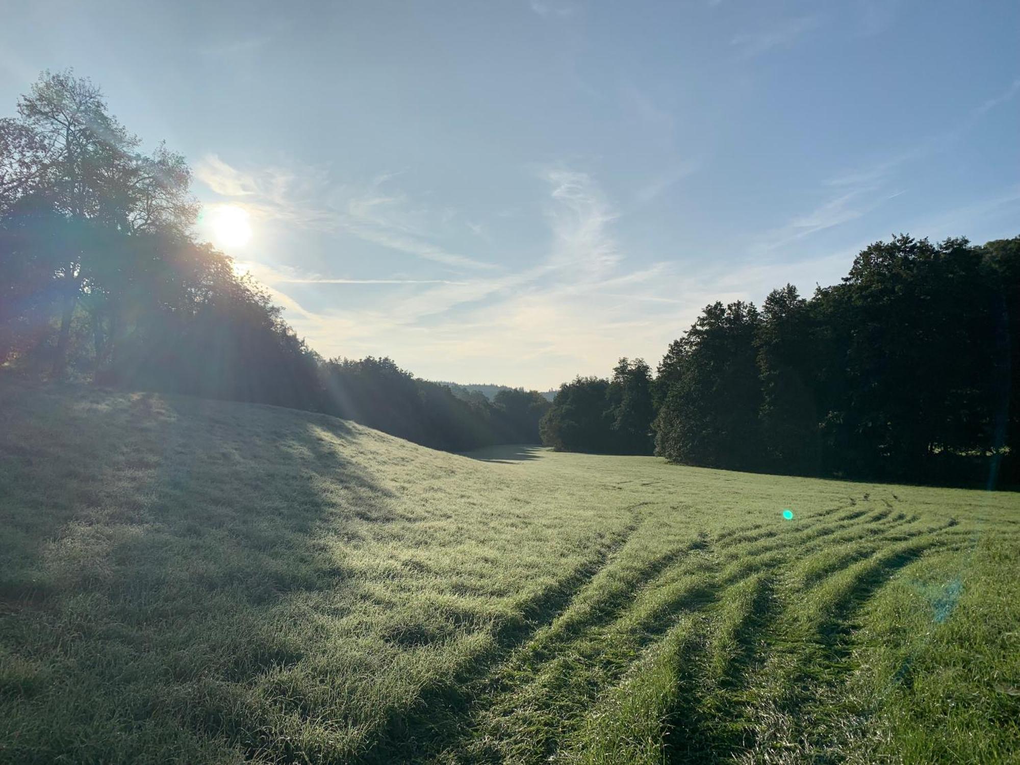 Ferienwohnung Bauernhof - Auszeit Mal Anders Seckach Exterior foto